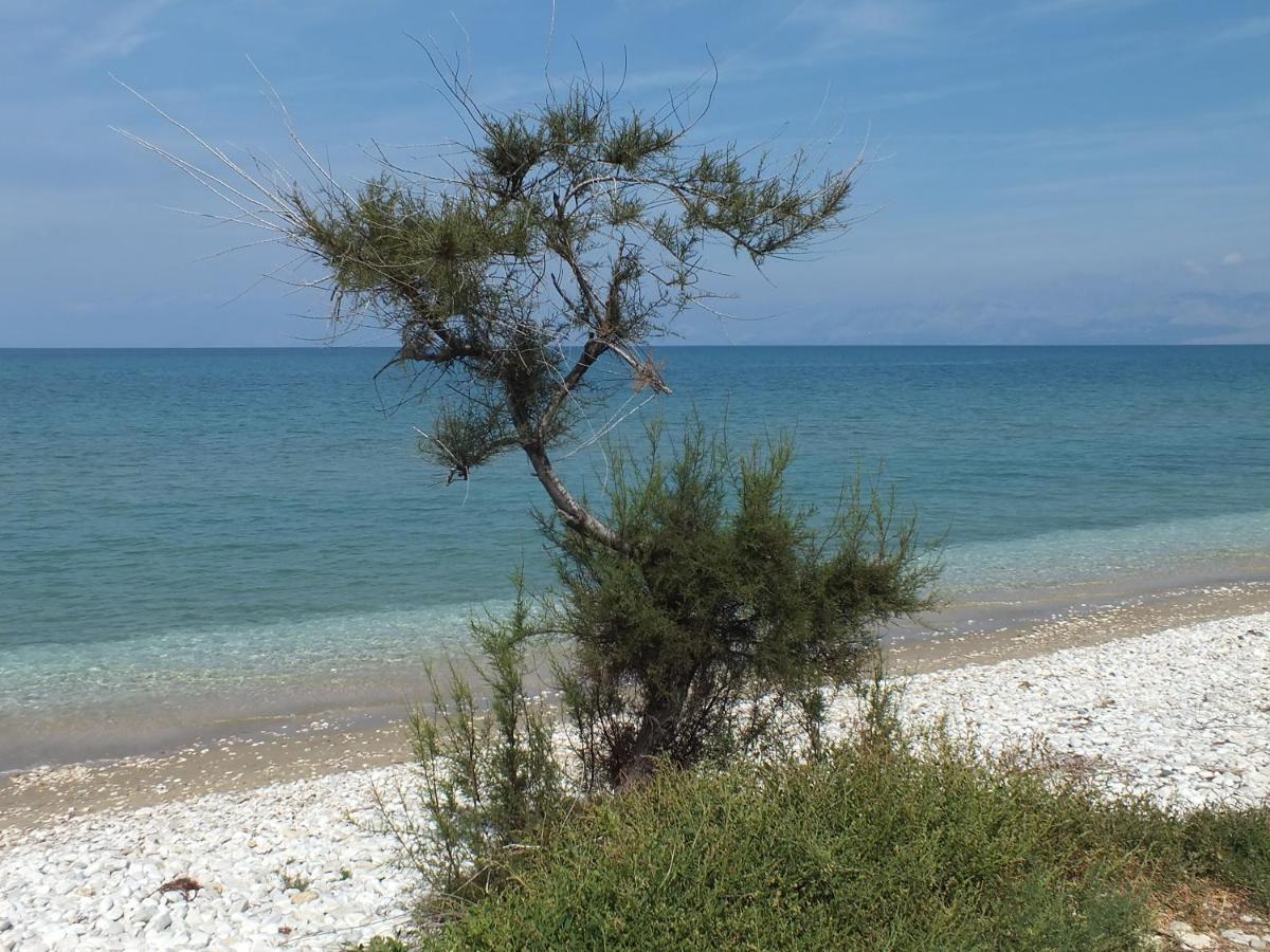 Frosos Beachfront Maisonette Acharavi Acharavi  Dış mekan fotoğraf